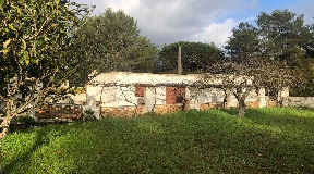 Landhouse in Santa Gertrudis with large Land