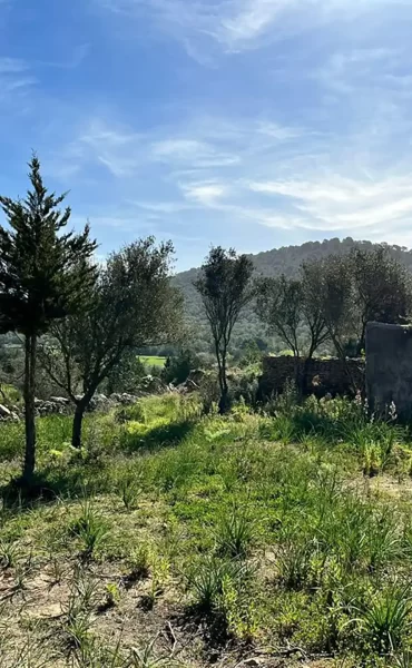 Abgeschiedene authentische Finca auf 136.000 m2 Grundstück in San Rafael Ibiza