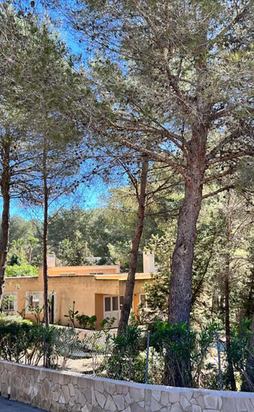 House in the woods of Can Furnet
