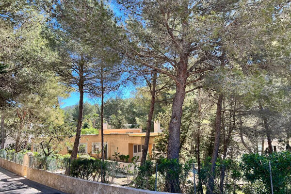 House in the woods of Can Furnet