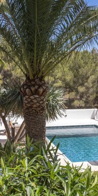 Exquisite Mediterranean Villa with Infinity Pool in Can Furnet