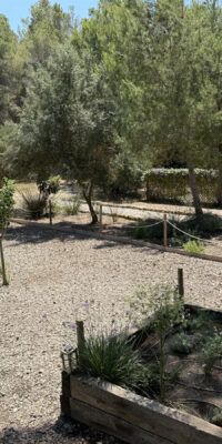 Autentica finca con annessi e licenza di affitto Autentica finca con annessi e licenza di affitto