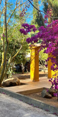 Tranquil Villa Surrounded by Nature Near Santa Gertrudis