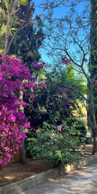 Tranquil Villa Surrounded by Nature Near Santa Gertrudis