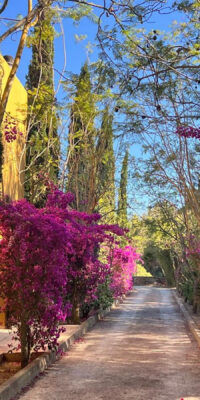 Tranquil Villa Surrounded by Nature Near Santa Gertrudis