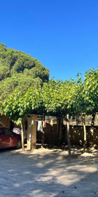 Tranquil Villa Surrounded by Nature Near Santa Gertrudis