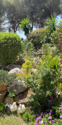 Beautiful villa with sea views near San Carlos