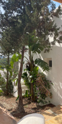 Maison de ville à Cala Vadella avec vue imprenable à vendre
