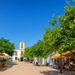 Come to Ibiza and live in Santa Gertrudis