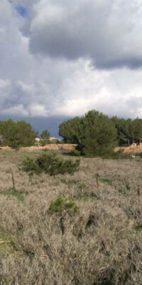Exceptional Plot in El Pilar de la Mola, Formentera Exceptional Plot in El Pilar de la Mola, Formentera