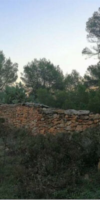 Exceptional Plot in El Pilar de la Mola, Formentera Exceptional Plot in El Pilar de la Mola, Formentera