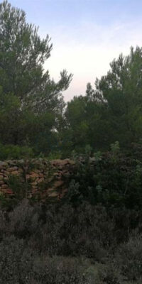 Exceptional Plot in El Pilar de la Mola, Formentera Exceptional Plot in El Pilar de la Mola, Formentera