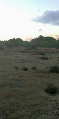 Exceptional Plot in El Pilar de la Mola, Formentera Exceptional Plot in El Pilar de la Mola, Formentera