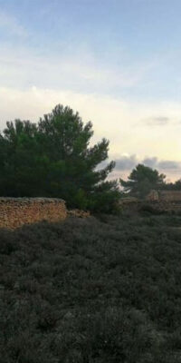 Exceptional Plot in El Pilar de la Mola, Formentera Exceptional Plot in El Pilar de la Mola, Formentera
