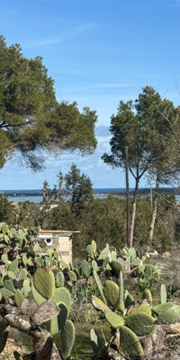 Rustic Plot with Existing Building in Porto Salé Rustic Plot with Existing Building in Porto Salé