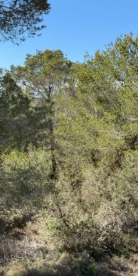 Rustic Plot with Existing Building in Porto Salé Rustic Plot with Existing Building in Porto Salé