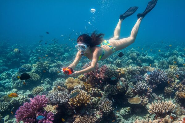 Wat te doen op Ibiza – Bezienswaardigheden Things to do in Ibiza - attractions in Ibiza