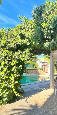 Villa in a quiet residential area of Playa den Bossa Villa in a quiet residential area of Playa den Bossa