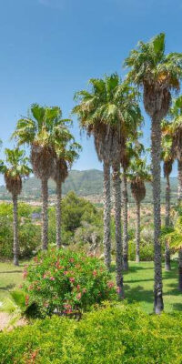 Élégante finca avec maison d’amis et vue sur la vallée de Nica Élégante finca avec maison d’amis et vue sur la vallée de Nica