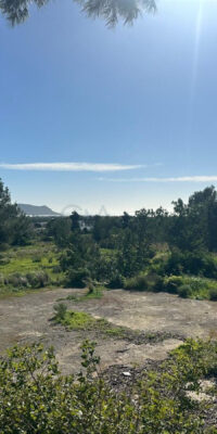 Serene multi-unit country estate to renovate