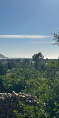 Serene multi-unit country estate to renovate