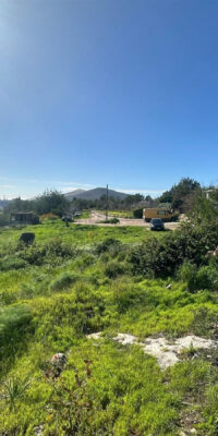 Serene multi-unit country estate to renovate