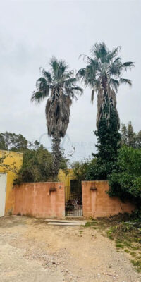 Serene multi-unit country estate to renovate