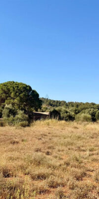 Créez la maison de vos rêves au cœur d’Ibiza Créez la maison de vos rêves au cœur d’Ibiza