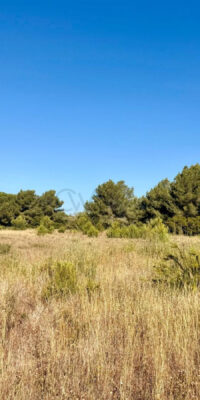 Créez la maison de vos rêves au cœur d’Ibiza Créez la maison de vos rêves au cœur d’Ibiza