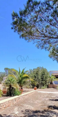 Property with touristic rental license in Formentera Property with touristic rental license in Formentera