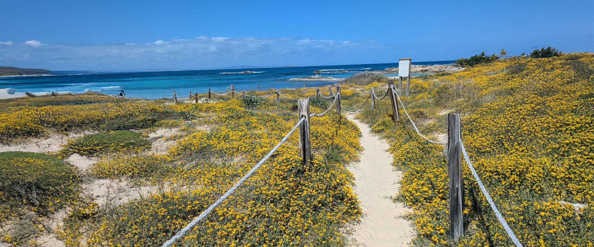 Apartment with Tourist Rental License near Sea in Formentera