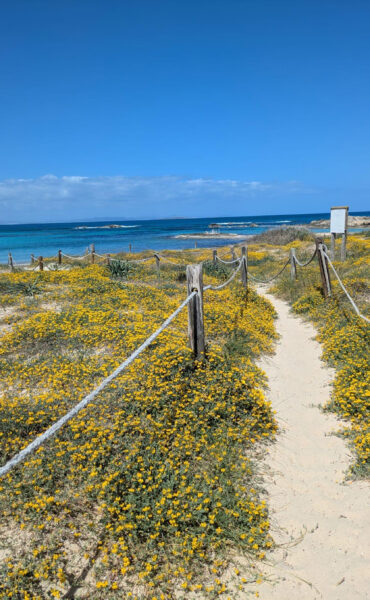 Apartment with Tourist Rental License near Sea in Formentera