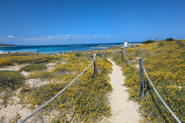 Apartment with Tourist Rental License near Sea in Formentera