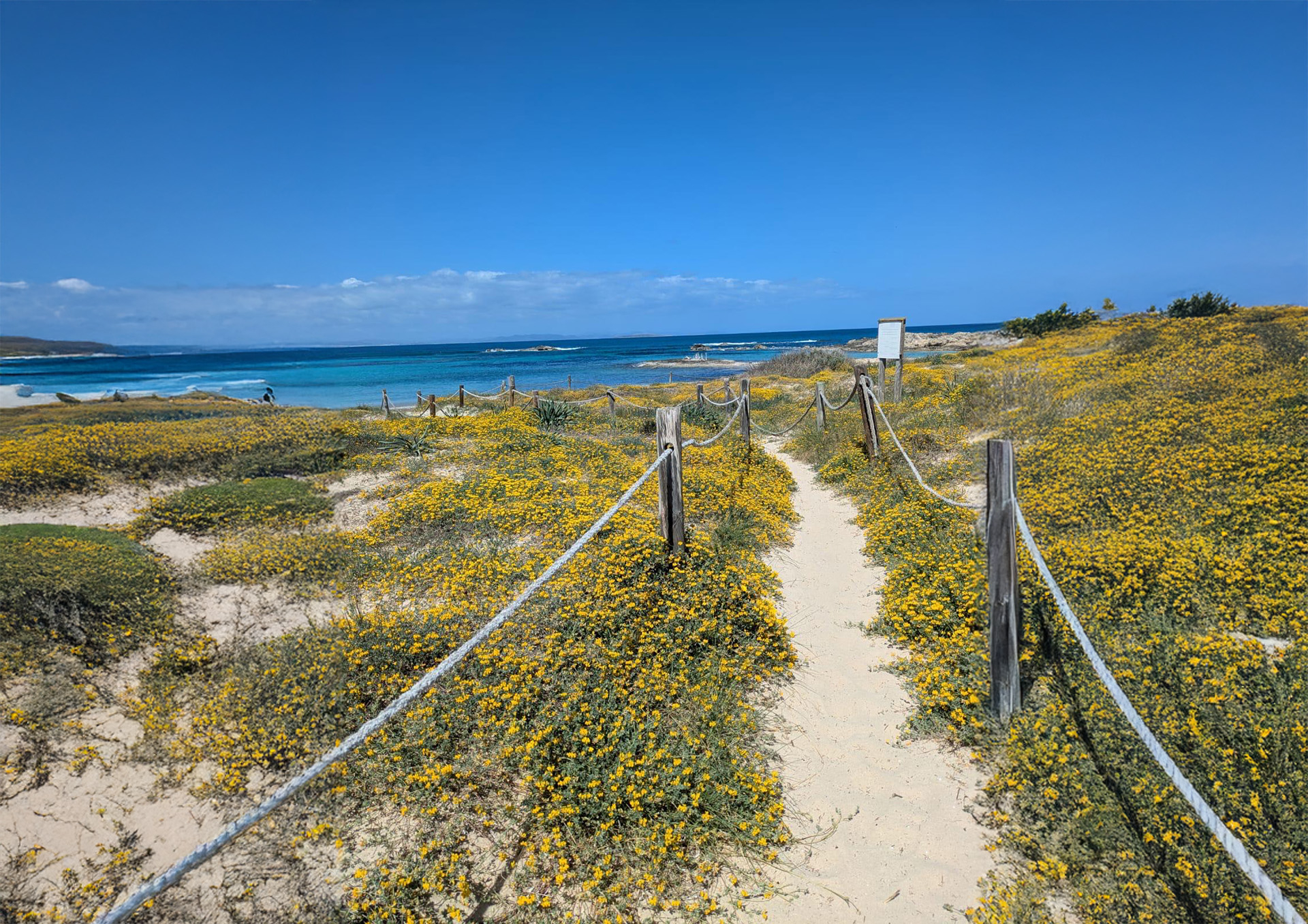 Apartment with Tourist Rental License near Sea in Formentera