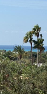 Bien immobilier présentant un potentiel de rénovation exceptionnel Bien immobilier présentant un potentiel de rénovation exceptionnel