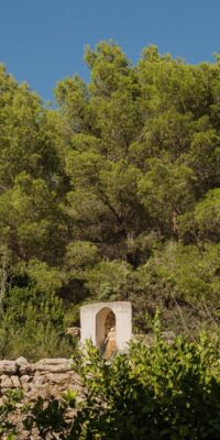 Authentic Private Finca Estate with 55,600 m² Authentic Private Finca Estate with 55,600 m²