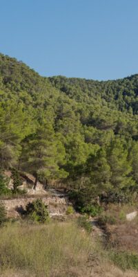 Authentic Private Finca Estate with 55,600 m² Authentic Private Finca Estate with 55,600 m²
