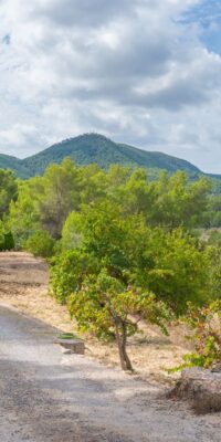 Authentic Historic Finca with Sea Views Near San José, Ibiza Authentic Historic Finca with Sea Views Near San José, Ibiza