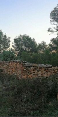 Building Plot with Approved Project for a Luxury Villa Building Plot with Approved Project for a Luxury Villa