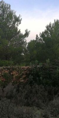 Building Plot with Approved Project for a Luxury Villa Building Plot with Approved Project for a Luxury Villa