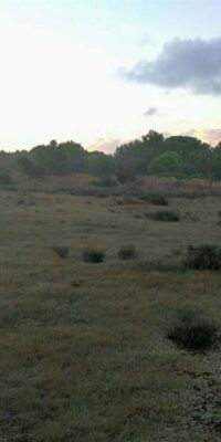Building Plot with Approved Project for a Luxury Villa Building Plot with Approved Project for a Luxury Villa