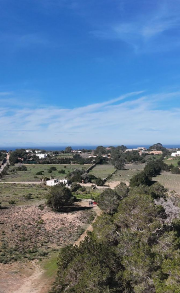 Rustic Plot with Residential Potential Near Cala Saona